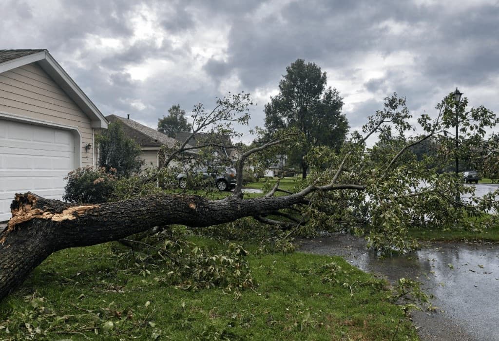Storm-fallen tree across a driveway after wind damage in a residential neighborhood