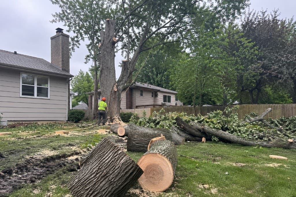Tree removal in progress with cut trunk sections and debris near a Shawnee home
